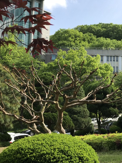 yongin university