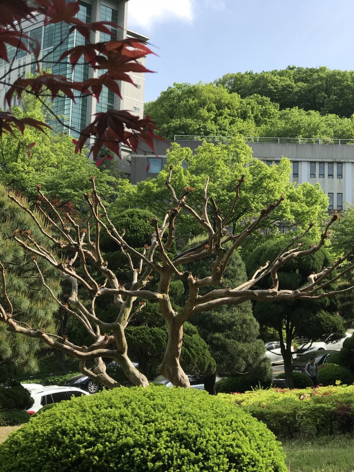 yongin university