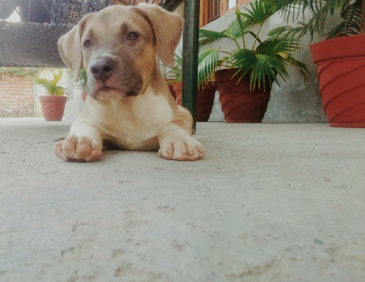 new boy TERRY