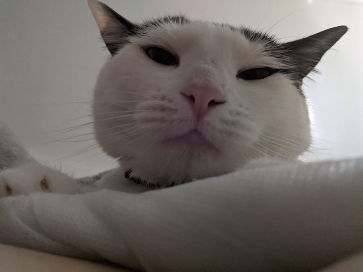 Big head