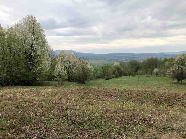 place