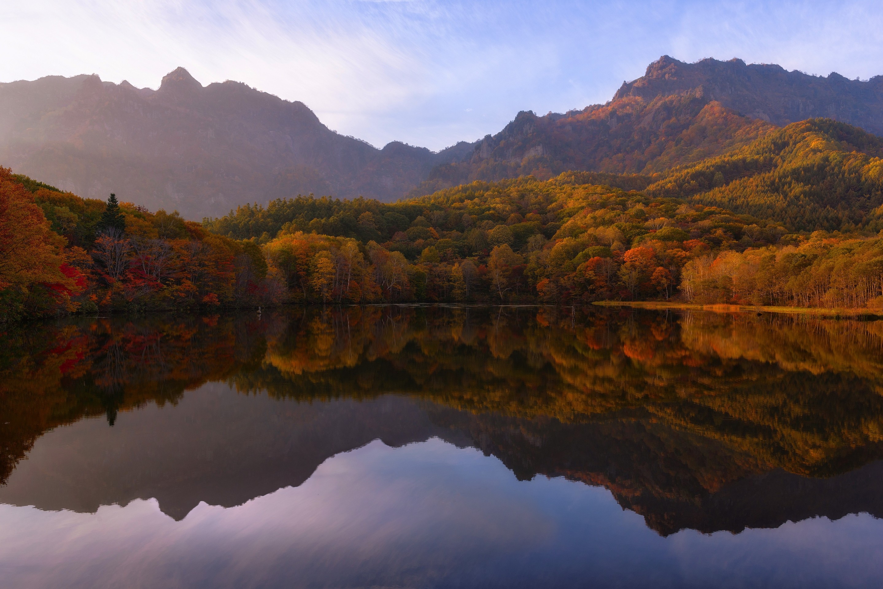 sfondi ecoregion, highland