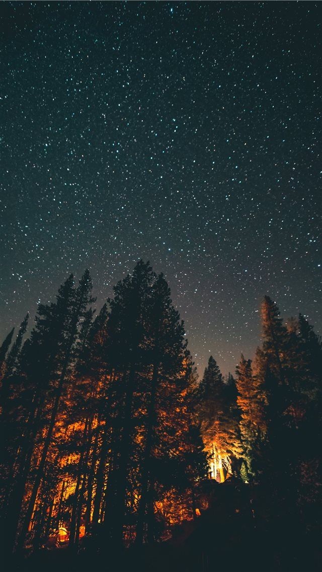 stars in night