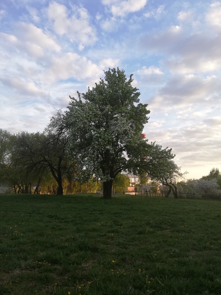 A nice place