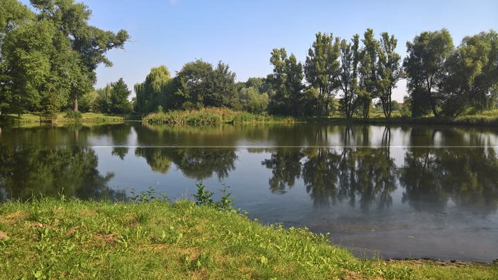 Reflection in the water