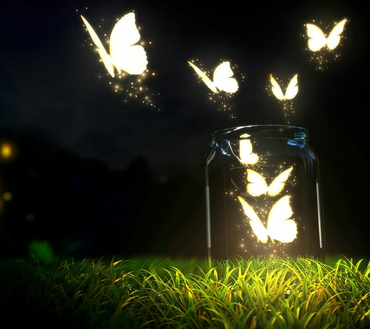 Dreams