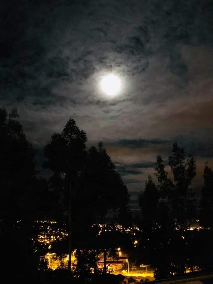 Noches de Cuenca