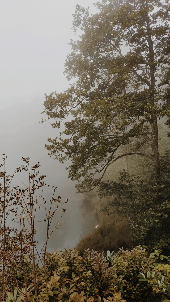 doğa turkey Artvin Karagöl