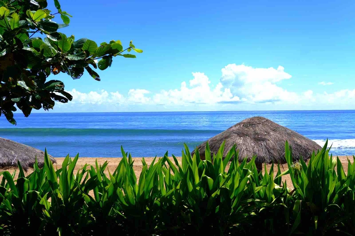 Cove