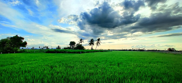 lovely evng