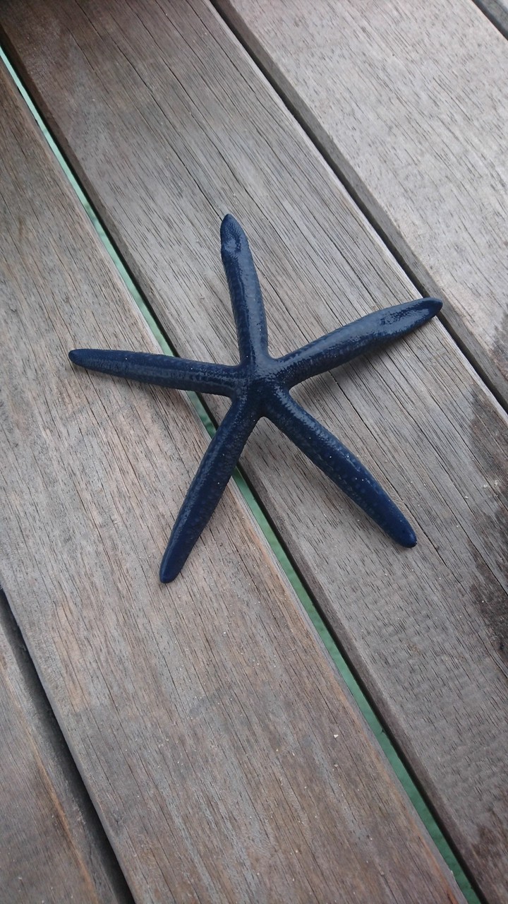 star fish