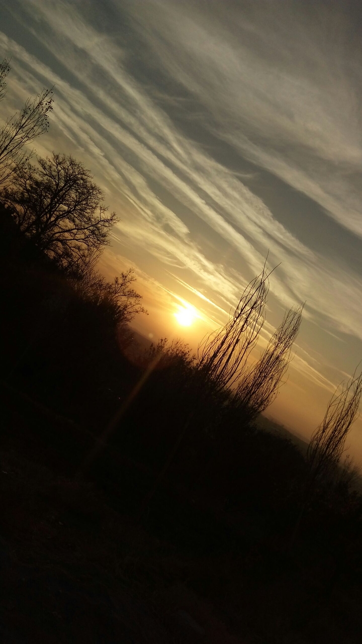 Autumn sunset