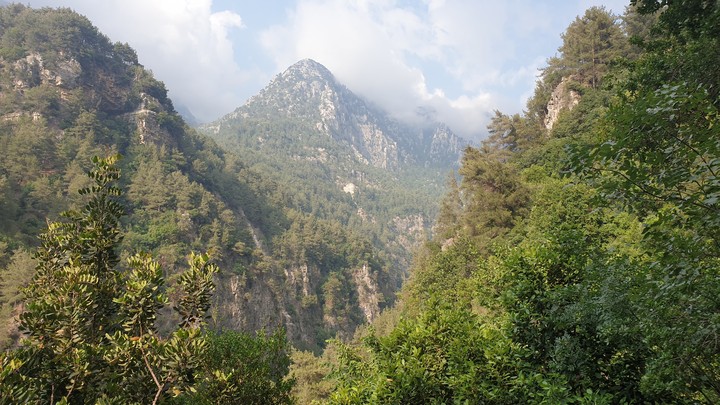 Mountain