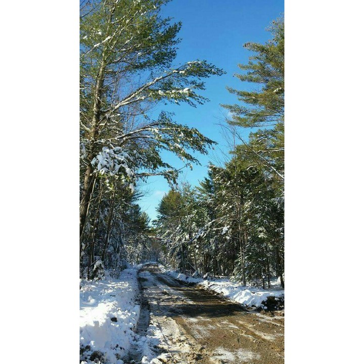 Snowy Roads
