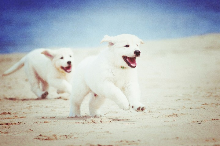 how cute..