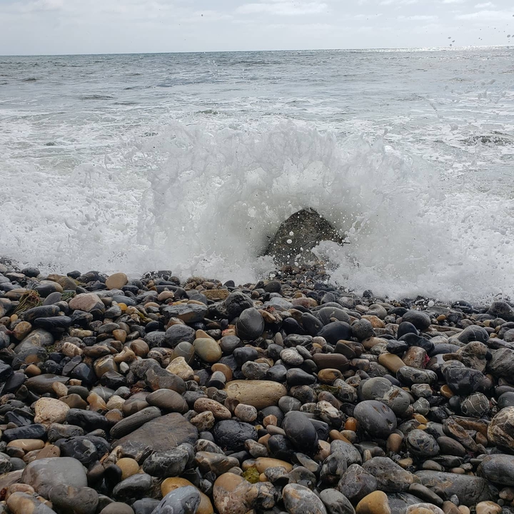 palos verdes