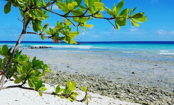 Barbados Paradise beach