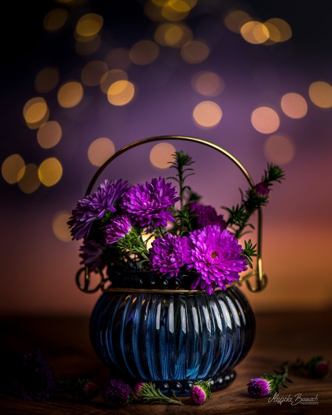 flora, bokeh wallpapers