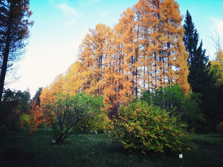 осень