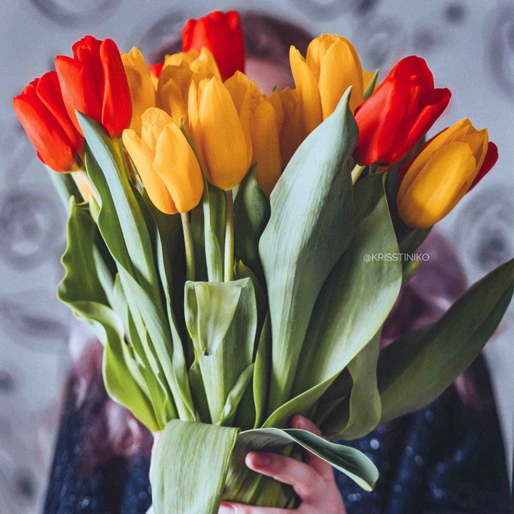 8 March