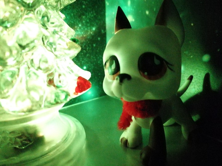 LPS