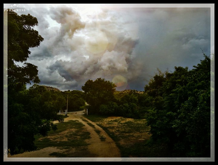 nature