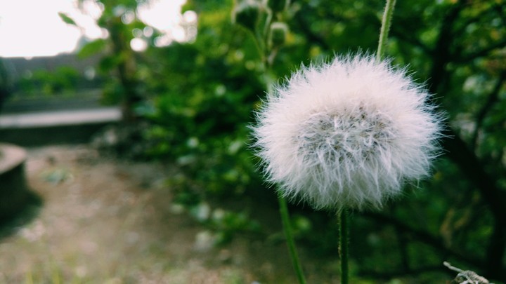blow away