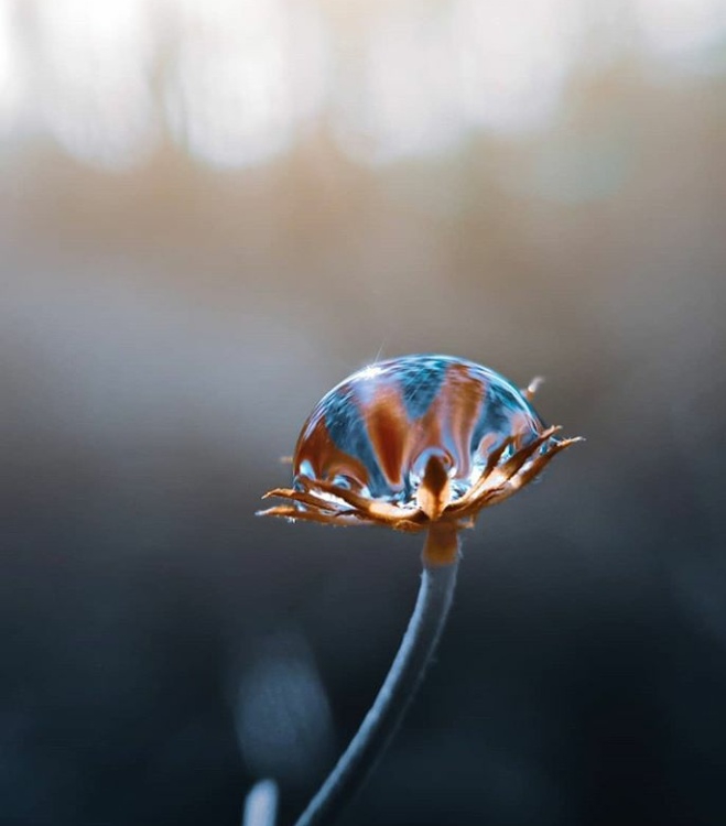 hope