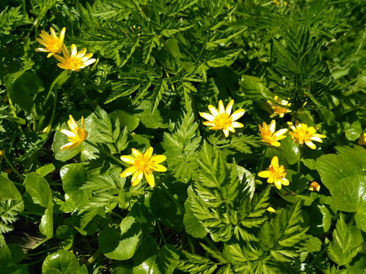 springtime
