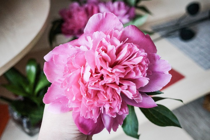 flower