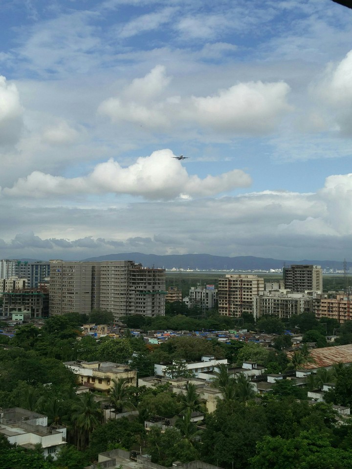 the city