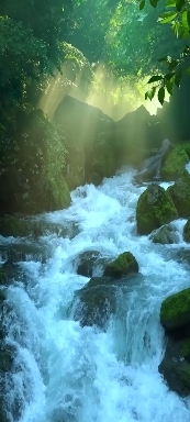 Nature.