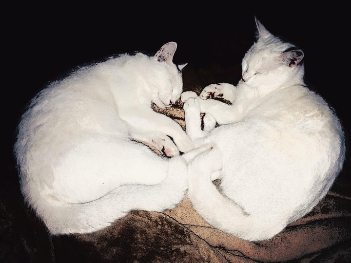 Leah and lulu