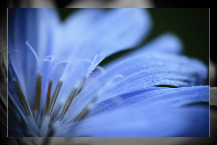 Just blue
