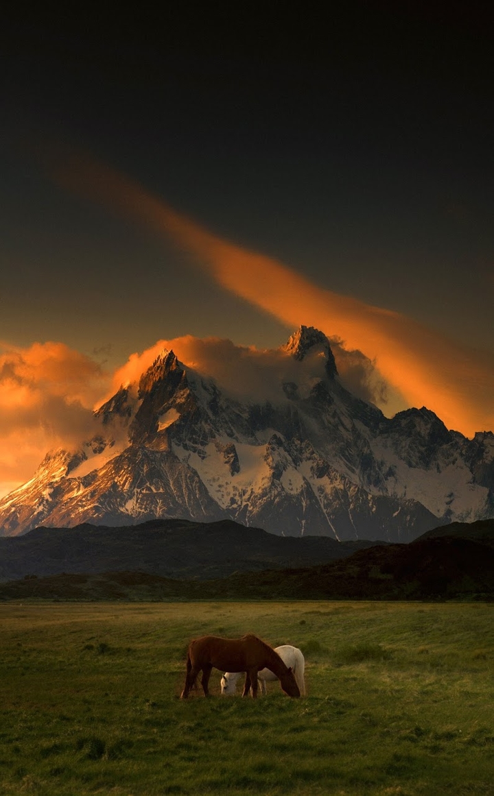 nature