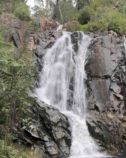Steavenson waterfalls- Marysville