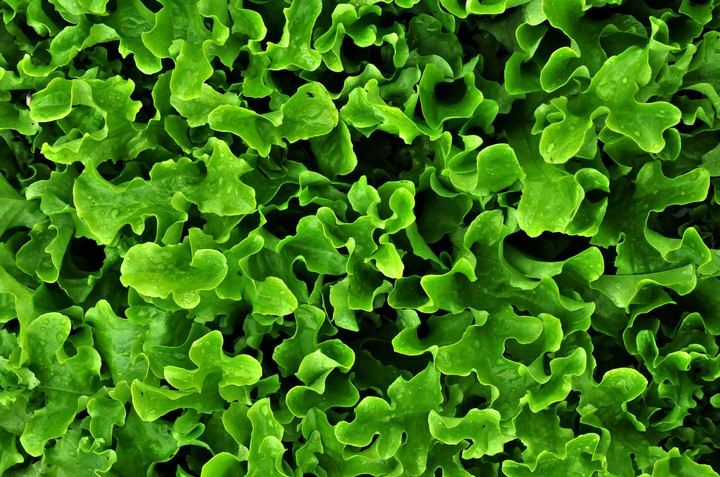 green pic