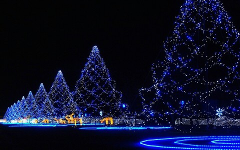 тапети fir, sky