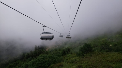 Fog