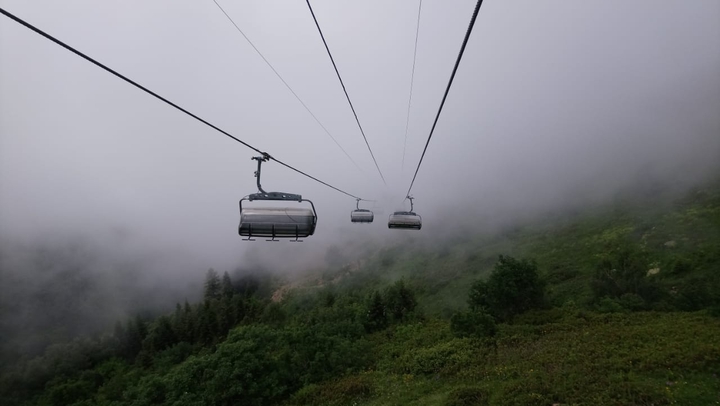 Fog