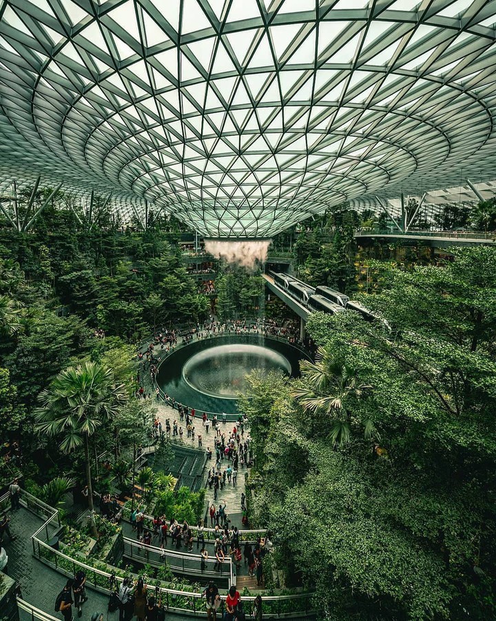 humans scape