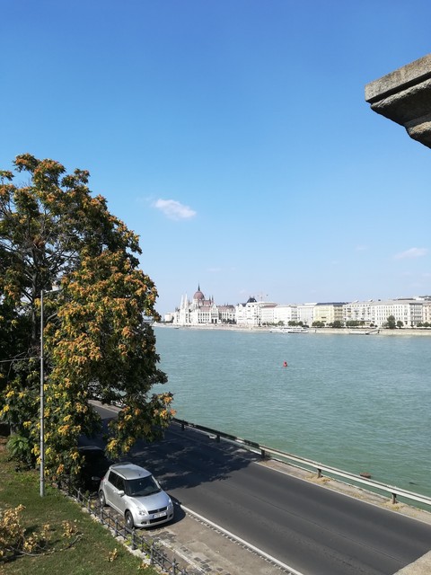 Summer in Budapest