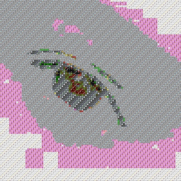 my eye