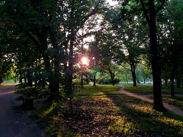 nature