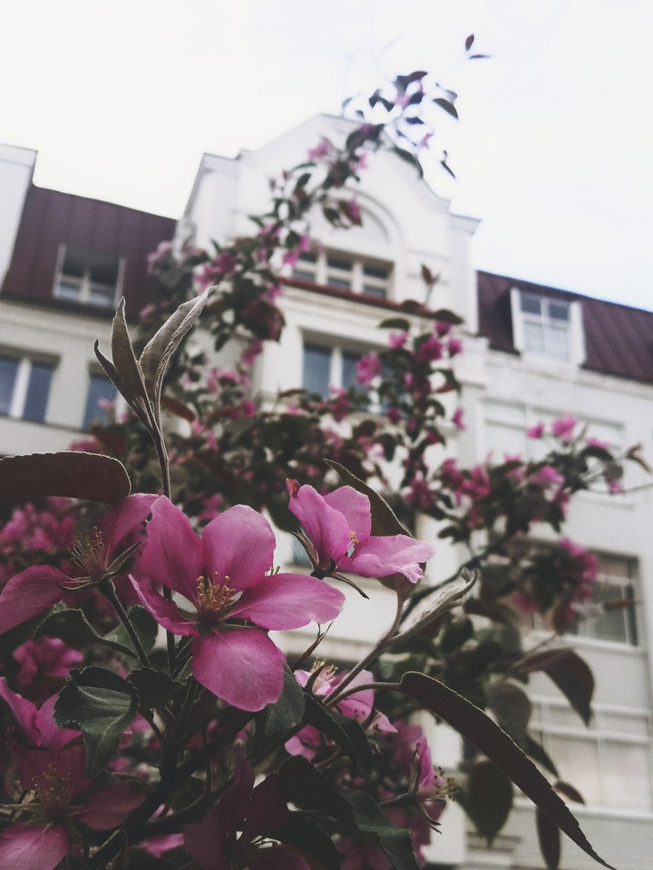 Spring in Yekaterinburg