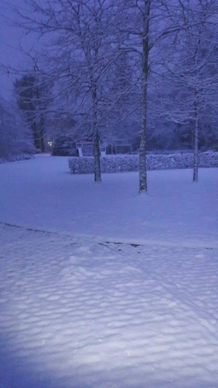 winter