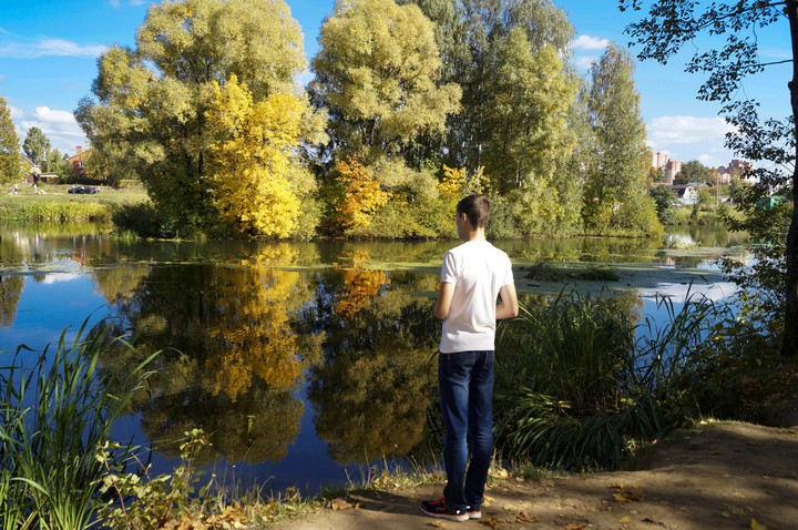 в зеркале воды