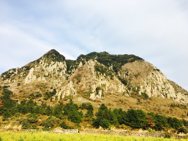 In Jeju Island