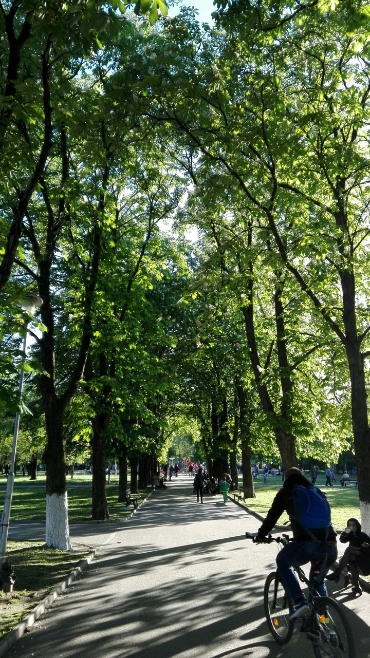 Park