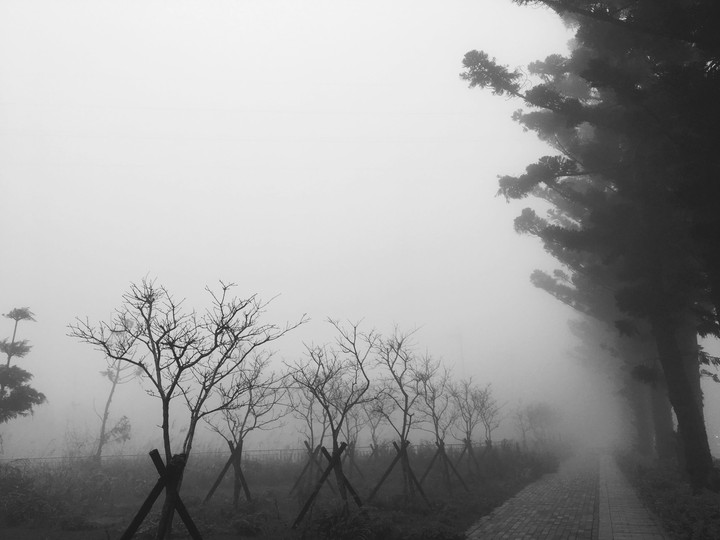 Fog on the way